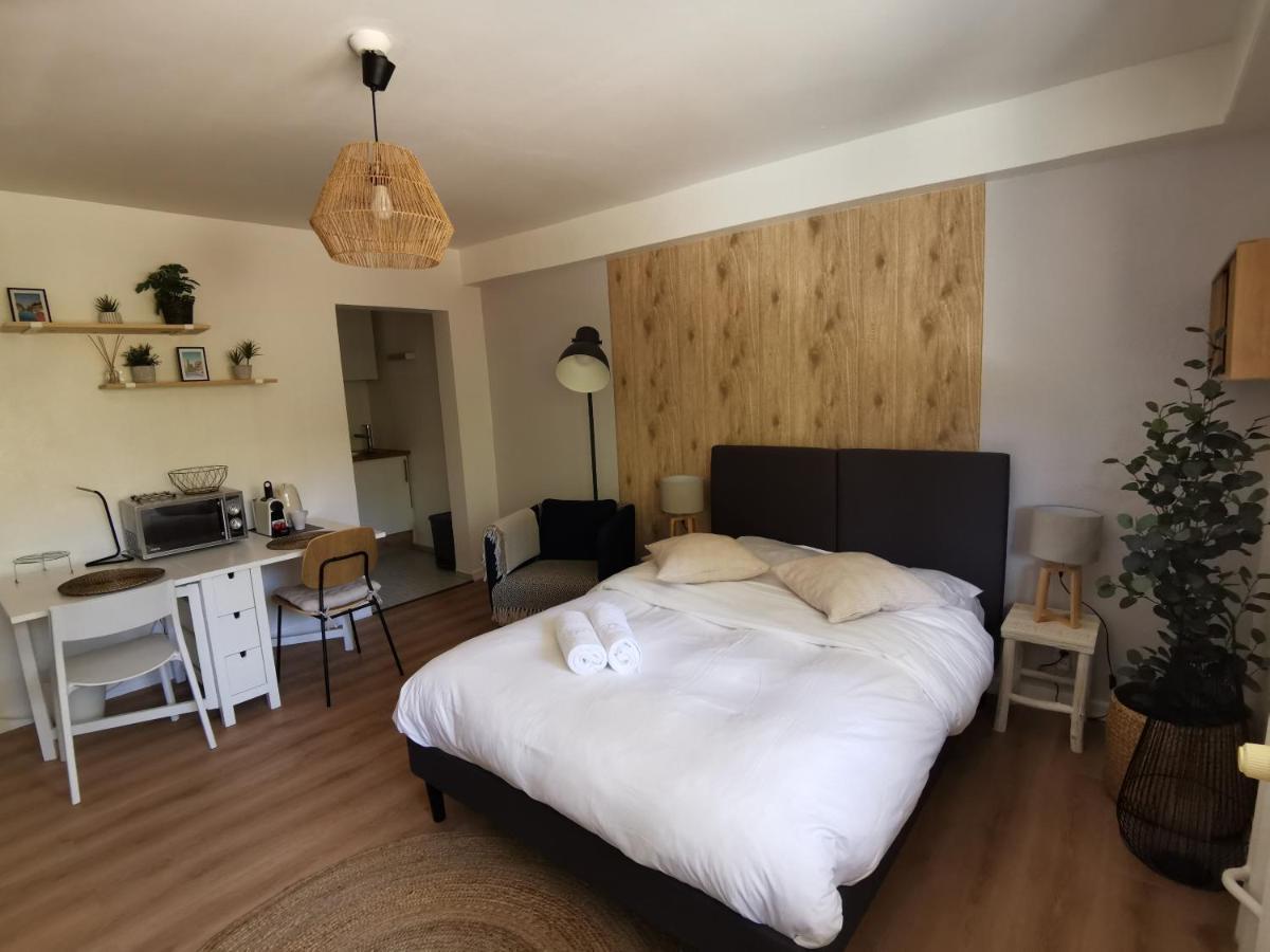 Marnesia - Studio Avec Vue Sur Les Quais Strazburg Dış mekan fotoğraf